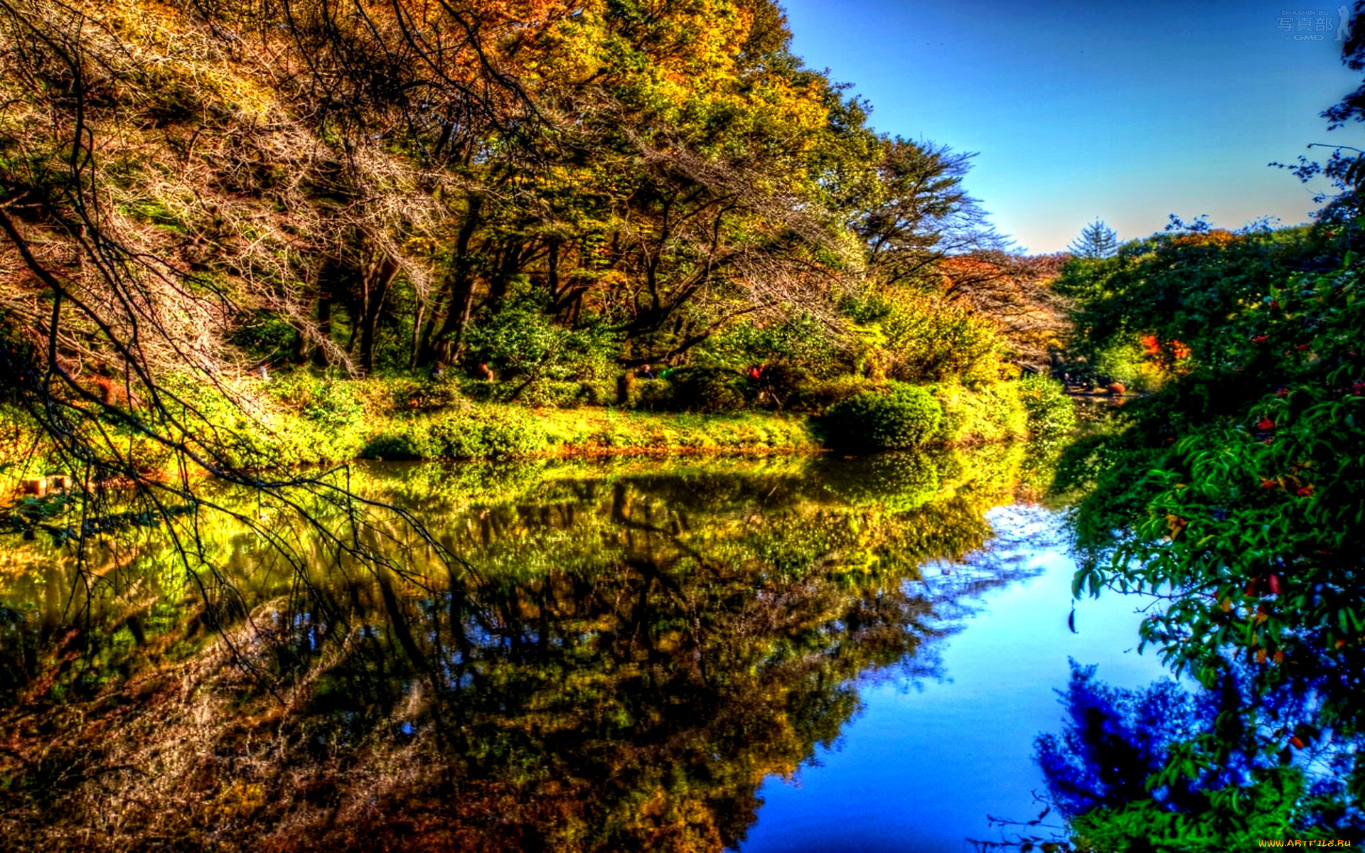 forest, pond, , , , , , 